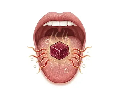 500mg Beetroot Powder