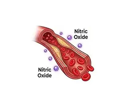 Nitric Oxide Conversion