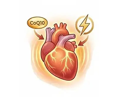 100mg CoQ10