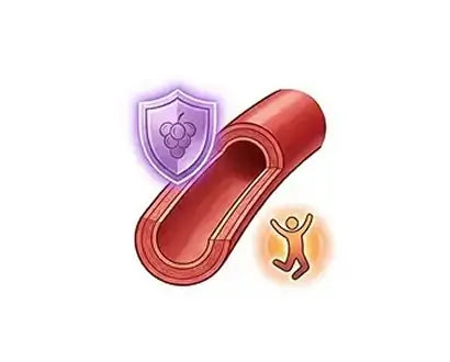 150mg Grape Seed Extract
