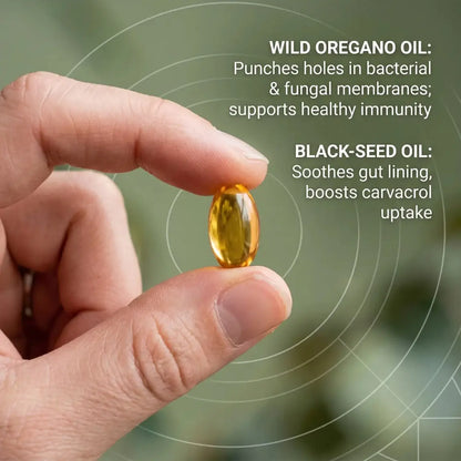 Oil of Oregano Capsules - Softgels