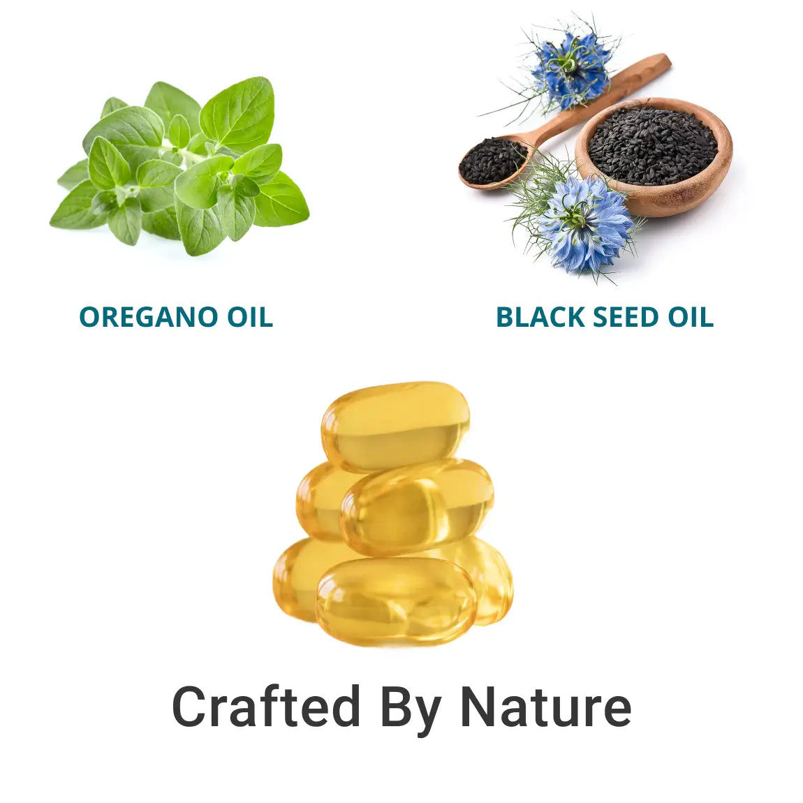 Oil of Oregano Capsules - Softgels
